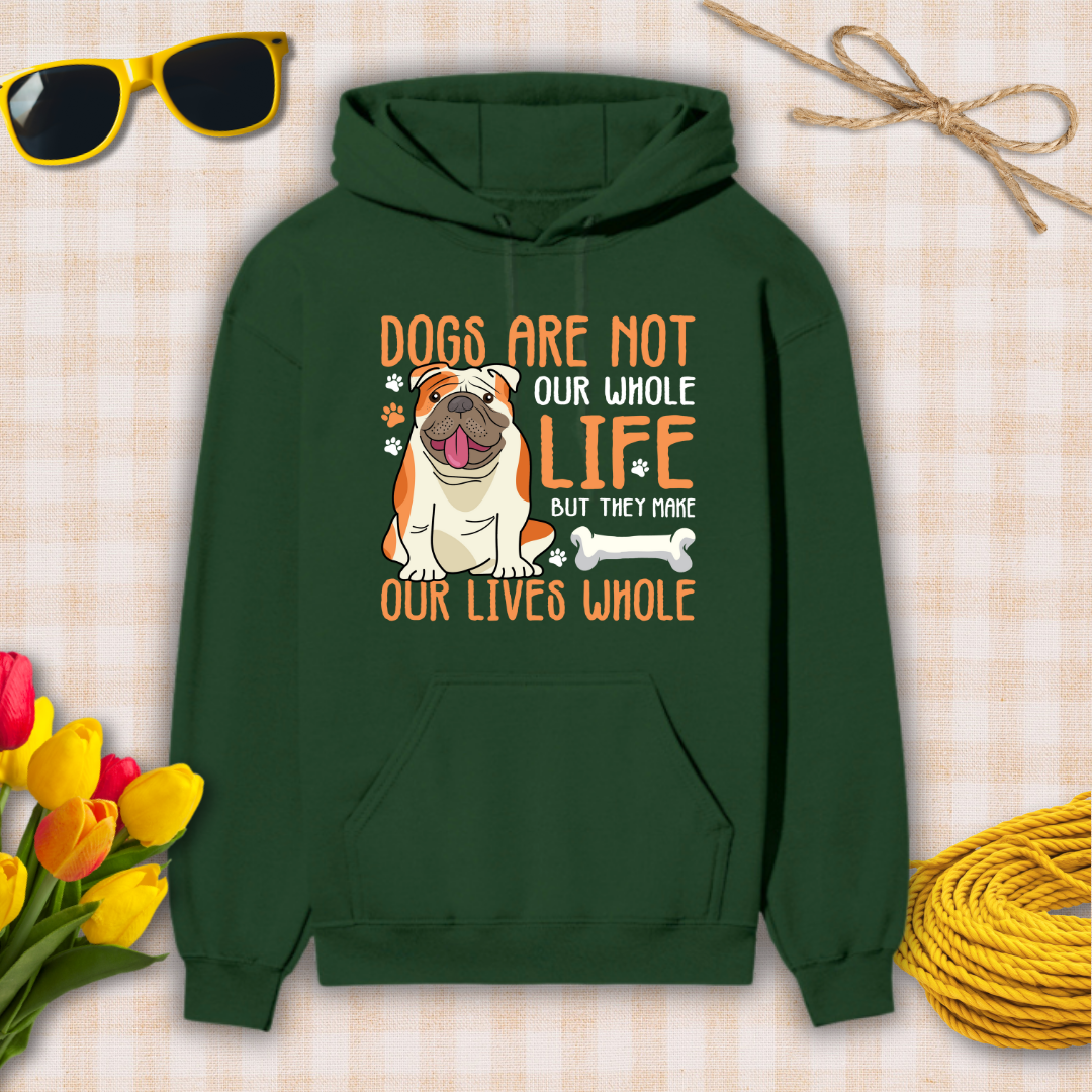 Green hoodie with a dog graphic and text on a checkered background with sunglasses, flowers, and twine.