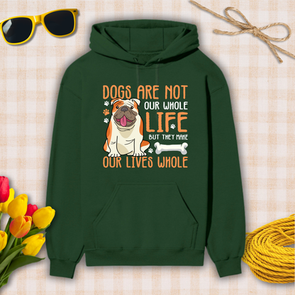 Green hoodie with a dog graphic and text on a checkered background with sunglasses, flowers, and twine.